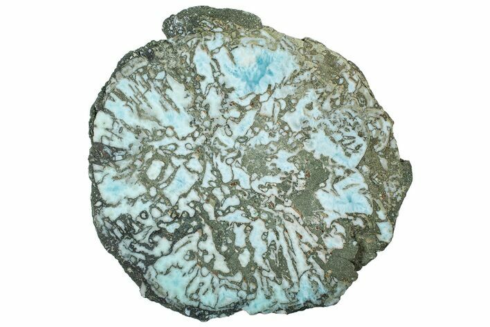 End-Cut of Larimar Replaced Wood Limb Cast #315028